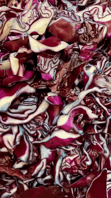 a pile of purple and white cabbage with a swirl pattern