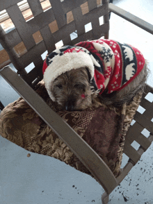 a small dog wearing a santa hat and sweater is laying on a chair