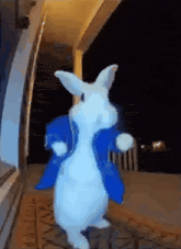 a white rabbit wearing a blue jacket is standing in front of a door .