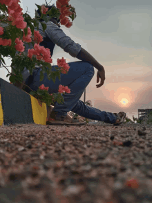 a man squatting down next to flowers with the sun behind him