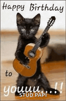 a black cat is holding a guitar in its paws on a happy birthday card .