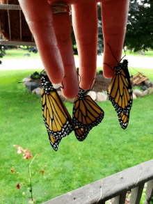 two butterflies hanging from a person 's finger