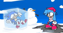 a cartoon of sonic the hedgehog and boyfriend standing next to a snowman in a cube of ice .