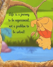 a picture of winnie the pooh hanging from a tree branch with the words life is a journey to be experienced