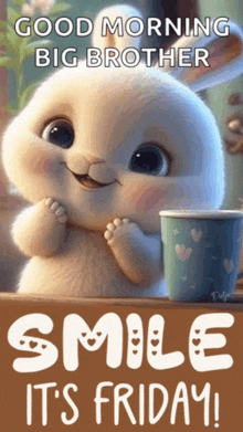 a picture of a bunny with a cup of coffee and the words `` good morning big brother smile it 's friday ''