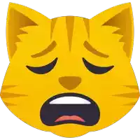 a yellow cat with a sad face on its face