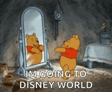 a cartoon of winnie the pooh looking at himself in a mirror with the words " im going to disney world "