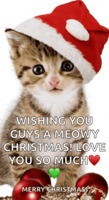 a kitten wearing a santa hat with the words wishing you guys a meowy christmas love you so much