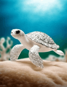 a sea turtle sitting on top of a coral reef in the ocean