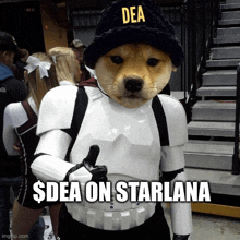 a dog dressed in a storm trooper costume with a hat that says dea