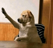 a dog is sitting at a table with its paw in the air