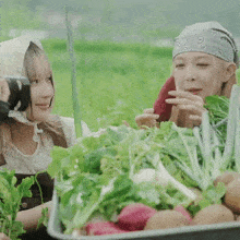 a woman wearing a bandana is taking a picture of another woman with a camera in a field of vegetables