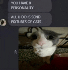 a picture of a cat next to a text that says " you have o personality all u do is send pixtures of cats "