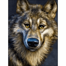 a close up painting of a wolf with yellow eyes