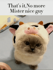 a cat wearing a cow hat with the words that 's it no more mister nice guy above it