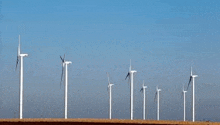 a row of wind turbines are lined up in a field .