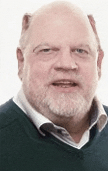 a bald man with a beard is wearing a green sweater and white shirt .