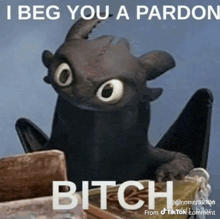 toothless from how to train your dragon says " i beg you a pardon "