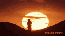 a poster for the mortal kombat movie shows a silhouette of a person standing in front of the sun