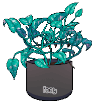 a drawing of a plant in a black pot with a sticker that says feey