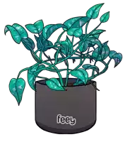 a drawing of a plant in a black pot with a sticker that says feey