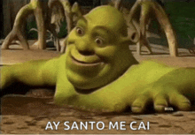 shrek is laying in the dirt with the words ay santo me cai written on the bottom .