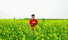 a young man in a red sweater stands in a field of yellow flowers