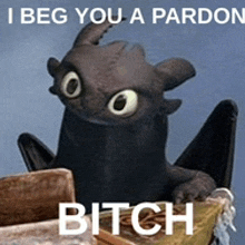 a picture of toothless from how to train your dragon says " i beg you a pardon bitch "