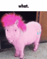 a pink pony with a pink mane and tail is standing in front of a door with the words what above it
