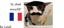 a picture of a cat with a mustache and a bottle of wine