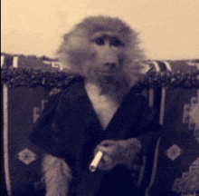 a monkey sitting on a couch holding a pipe