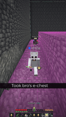 a screenshot of a video game with the words took bro 's e-chest