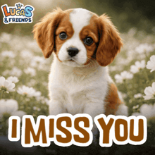a brown and white puppy is sitting in a field of white flowers with the words " i miss you " below it