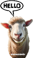 a sheep with a hello speech bubble above it