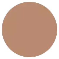 a brown circle on a white background with no border