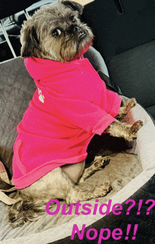 a dog wearing a pink hoodie is sitting on a couch