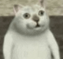 a close up of a white cat sitting on a couch looking at the camera .