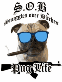 a pug wearing sunglasses and smoking a cigar with the words s.o.b. snuggles over bitches