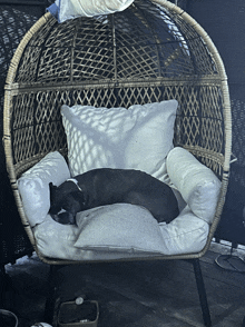 a dog is sleeping in a wicker chair