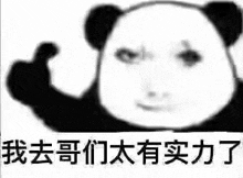 a panda bear is giving a thumbs up sign in a black and white photo .