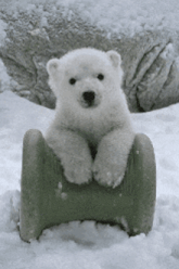 a polar bear cub is sitting on a green spool of thread in the snow