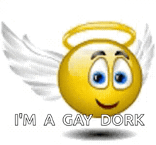 a smiley face with wings and a halo on it is a gay dork .