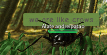 a computer generated image of a bug with the words we are like crows written above it