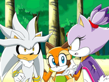 a group of cartoon characters including silver the hedgehog and blaze the cat are standing next to each other