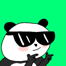 a panda bear wearing sunglasses is giving a thumbs up sign