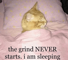 a cat is sleeping on a bed with the words " the grind never starts i am sleeping "