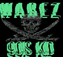 a pirate flag with the words warez 90s kid on it