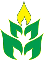 a green leaf with a yellow flame on top