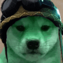 a green dog wearing a helmet and goggles is looking at the camera .