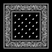 a black bandana with white paisley and a white frame